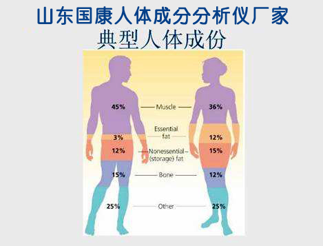 组成人体成分有哪些【山东91看片在线下载安装】