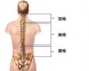 91免费看片测量仪讲述脊椎疼痛的原因