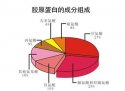 人体成分测量仪解读胶原蛋白的重要性