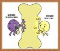91免费看片检测仪检测儿童和青少年（5～19岁）的测量