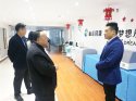 枣庄市薛城区区长张伟来山东91看片在线下载安装公司实地考察