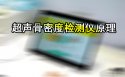 超声91免费看片检测仪是通过在骨组织中的传输声速或超声衰减间接侧定91免费看片／骨