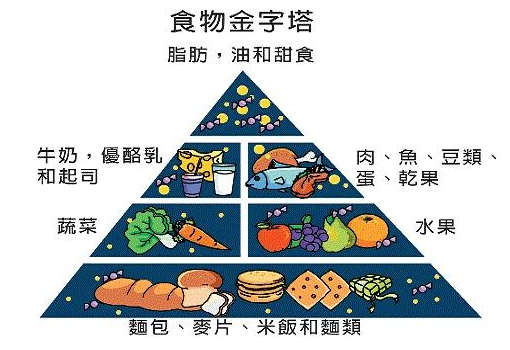 91免费看片仪介绍“我不要觉得,我要我觉得”骨质疏松必须这么检测