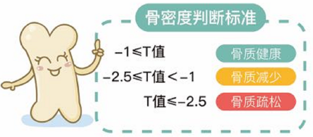 超声波91免费看片仪生产厂家 超声波91免费看片仪