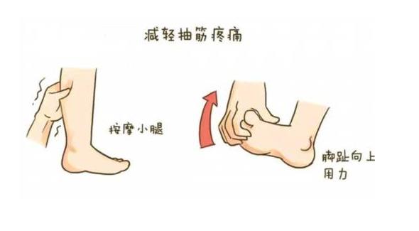 61991看片在线下载安装超声91免费看片仪厂家关注:小腿抽筋怎么办?一定是缺钙吗?